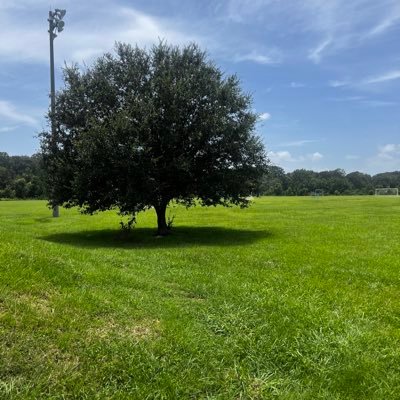 Sorr3llo's profile picture. Aspiring 6 Figure Amazon Seller 🗳️ | vingt-deux ⚜️