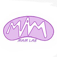 Area-Gomez Lab @ CIB (@areagomezlab) 's Twitter Profile