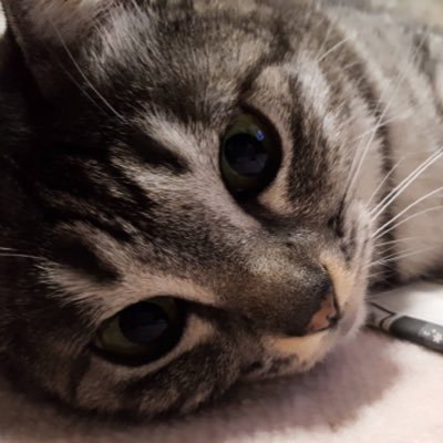 大知くんの歌ってすげぇんだよ。北のだいちゃー( ᐛ )OVER札幌苫小牧最高でした🐾次回のLIVEを楽しみに生きています