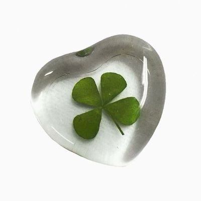 vinylleum's profile picture. all for the taking