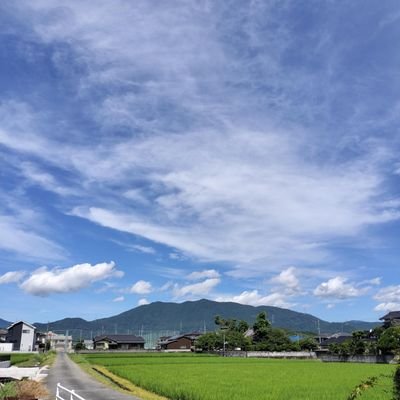 soramikunori23's profile picture. 