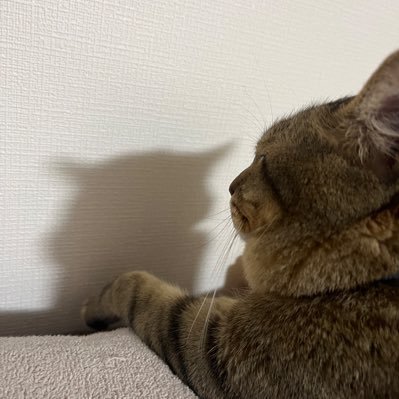 Fammrrr's profile picture. Fammスクール ママグラフィックコース卒業￤グラフィックデザイナーになるため勉強中です🌟