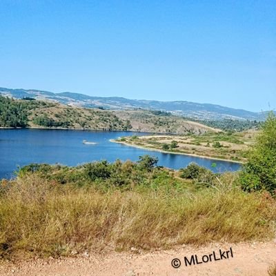 mlaurelkrl's profile picture. Le partage pour inciter à la découverte et créér une dynamique.