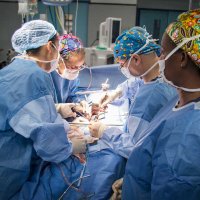 Transplant Links (@transplantlinks) 's Twitter Profile