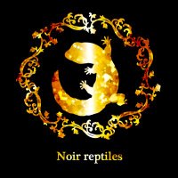 🦎Noir reptiles🦎次は4/19.20BIGレプ、5/4WAF福島 (@noirreptiles) 's Twitter Profile Photo 🦎Noir reptiles🦎次は4/19.20BIGレプ、5/4WAF福島 (@noirreptiles) 's Twitter Profile Photo
