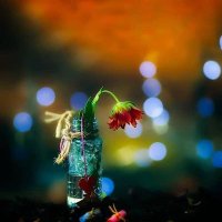 kari mullah jawhari (@jawharikar39081) Twitter profile photo