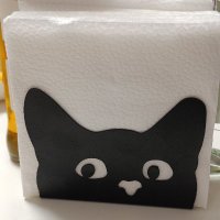 Йольский Кот (@jollakatze) 's Twitter Profile Photo Йольский Кот (@jollakatze) 's Twitter Profile Photo