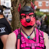 Axel 🔜 Animalz (@pinkpuppyaxel) 's Twitter Profile Photo Axel 🔜 Animalz (@pinkpuppyaxel) 's Twitter Profile Photo