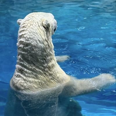 weilaikeqi98's profile picture. 抓100X金狗；分享一级Alpha财富密码，一级金狗挖掘，推文仅作分享，不做投资建议，风险自负。