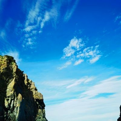 qwer118942's profile picture. 