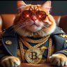 foolrushingin's profile picture. feeder of kitties, buyer of #bitcoin, 💎🙌mf, mask maker of note. #Nostr: npub1uzz8dhxrhzpqlaf7vlw0ycymscrjks200qe22td6yx3fh9d250wqtvcljp