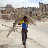 Ghost in the Machine (@gabrielteodros) 's Twitter Profile