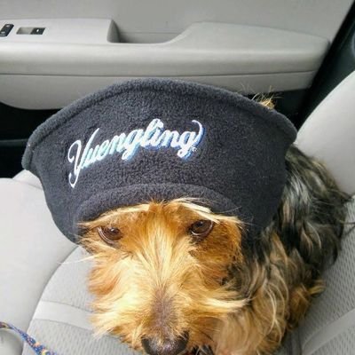 Darbydowap's profile picture. 