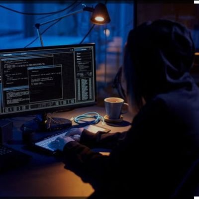 EmpressCyberr's profile picture. Cybersecurity|IT lover|Networking