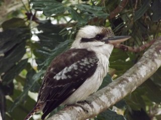 BrianStokes5's profile picture. Builder, Singer Song Writer, The Great Pyramid Race and many more, Check out BrianStokes65 utube for cool local vids