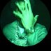 Krine (@ikrine_) Twitter profile photo Krine (@ikrine_) Twitter profile photo