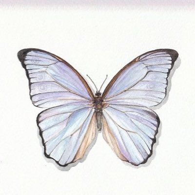 Kohaku57007440's profile picture. 