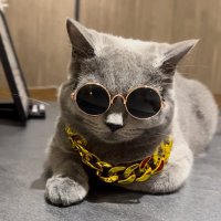 kimchiyong.eth 🖼️ (@kimchiyong_eth) 's Twitter Profile