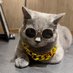 kimchiyong.eth 🖼️ (@kimchiyong_eth) Twitter profile photo kimchiyong.eth 🖼️ (@kimchiyong_eth) Twitter profile photo