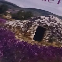 René (@rene24242424) 's Twitter Profile