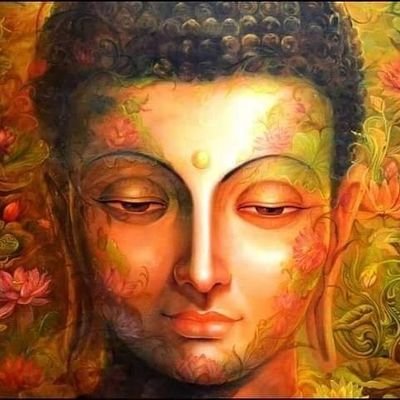 tiger80552's profile picture. 
