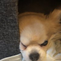 かんべ※ツイフィ有り (@can_be_0301) 's Twitter Profile