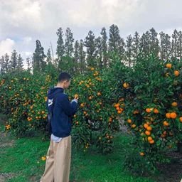 TairtawhyQQwYL's profile picture. 