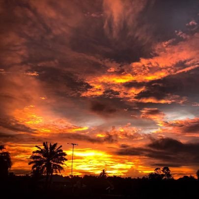 UnleashNFTsFan's profile picture. Corgito ergo sum