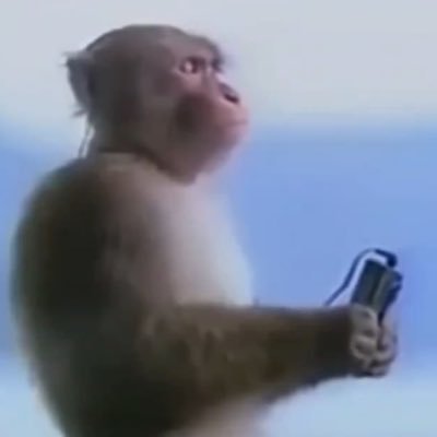 IGotYourTacos's profile picture. 