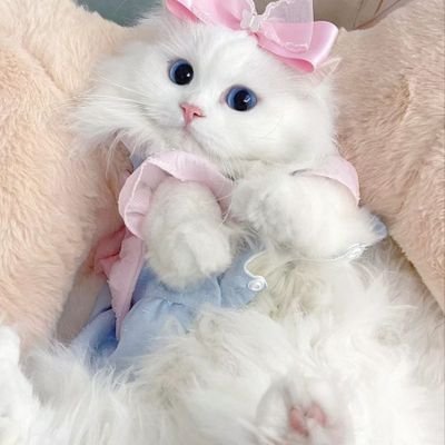 xingxin55594996's profile picture. น่ารักเอาใจเก่ง แน่นตึ้บ เต็มไม้เต็มมือ
พี่ๆชอบไหมค่าาา