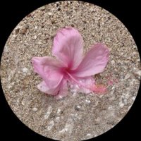 مها (@aivuui) 's Twitter Profile