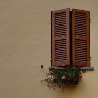 𝑨𝑰𝑺𝑯𝑨 (@a2003_ai) 's Twitter Profile