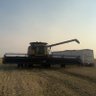 ForsythAg's profile picture. Partner of Forsyth Ag. Grain, Cattle and Custom Farming. 🌾