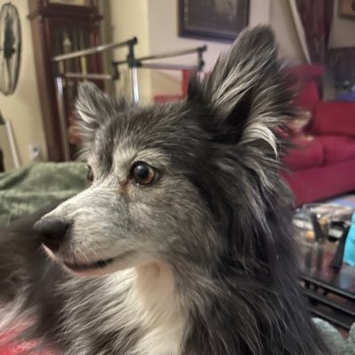 StevenWildermu3's profile picture. 