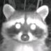 bazinaga (@bazinaga) Twitter profile photo bazinaga (@bazinaga) Twitter profile photo
