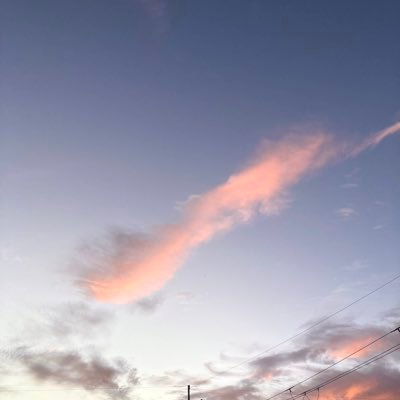 naricoさんのプロフィール画像