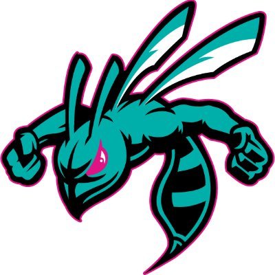 Welcome to THE Hive! We are the esports program for Ohio Connections Academy.