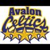 Avalon Celtics U11A (@avalonu11a) Twitter profile photo Avalon Celtics U11A (@avalonu11a) Twitter profile photo