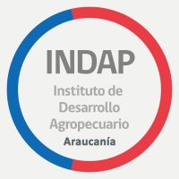 INDAP Araucanía (@indaparaucania) 's Twitter Profile