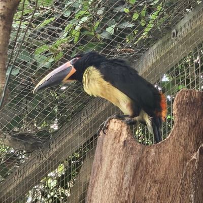 digicorp63's profile picture. 