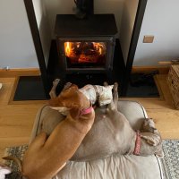 Rhiannon MBE & Richard MBE (@hergehound5) 's Twitter Profile Photo Rhiannon MBE & Richard MBE (@hergehound5) 's Twitter Profile Photo