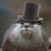 FancyDressedOtter (@afancyotter) Twitter profile photo FancyDressedOtter (@afancyotter) Twitter profile photo