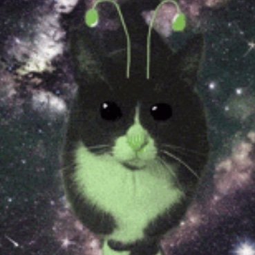 Droid2Gonk's profile picture. 