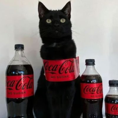 Tuckii9's profile picture. 