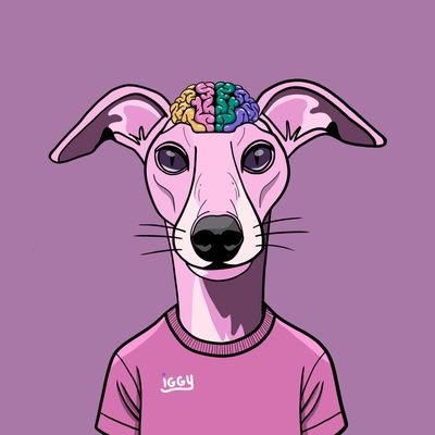 SztimonOfficial's profile picture. ❤️ to travel ✈️ Next stop 🚀🌕