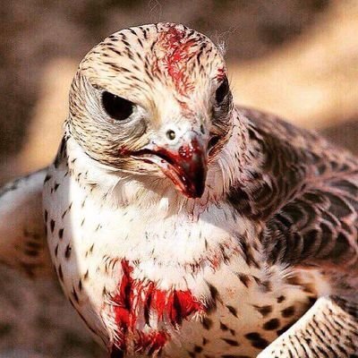 لا تتعب نفسك مَعْ أنَاس أختَاروا أنَ يفهَموك خطَأ، فقط إرحَل بصَمت فَالأيَام كَافِية لتُريهم مَنْ كنت ومنْ تكون
