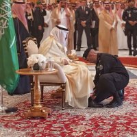 ليلى ( امي رويحة الجنة) (@lile21619871) 's Twitter Profile Photo