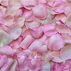 副業の成功法を共有中。副業を始めてみたい人にお得な情報を発信。小規模ですが現金プレゼント企画も実施中♫ フォロワーさん優先⇒ https://t.co/fDUWYooc2h