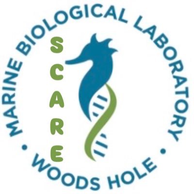 Frontiers in Stem Cells and Regeneration at the Marine Biological Laboratory (MBL)