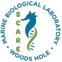SCARE (@mbl_scare) 's Twitter Profile Photo SCARE (@mbl_scare) 's Twitter Profile Photo